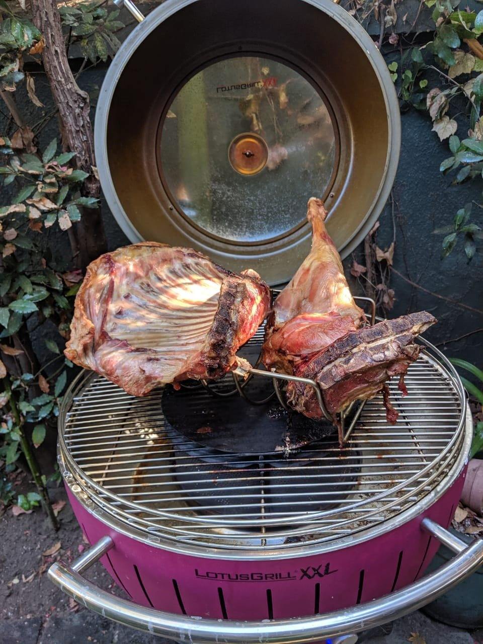 Lotus grill charcoal clearance
